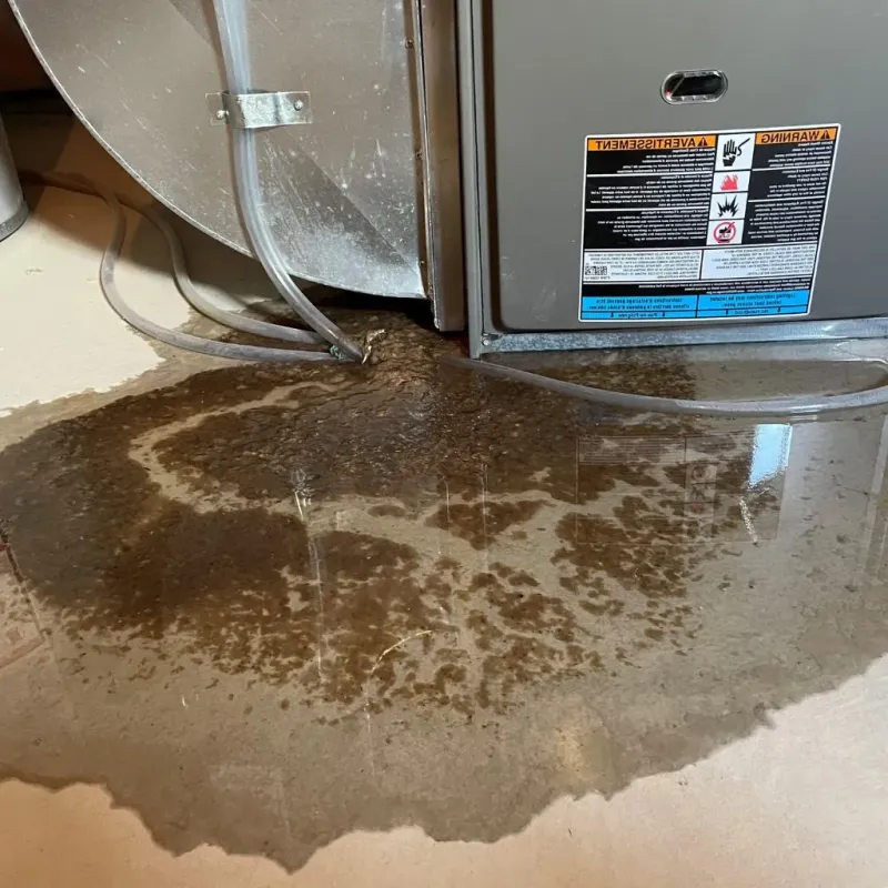 Pipe Burst and Leak Restoration in Rockwell City, IA