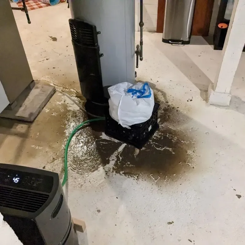 Sewage Backup Cleanup Service in Rockwell City, IA